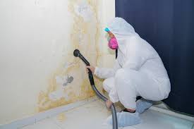 Reliable Banks, OR Mold Removal & Remediation Solutions